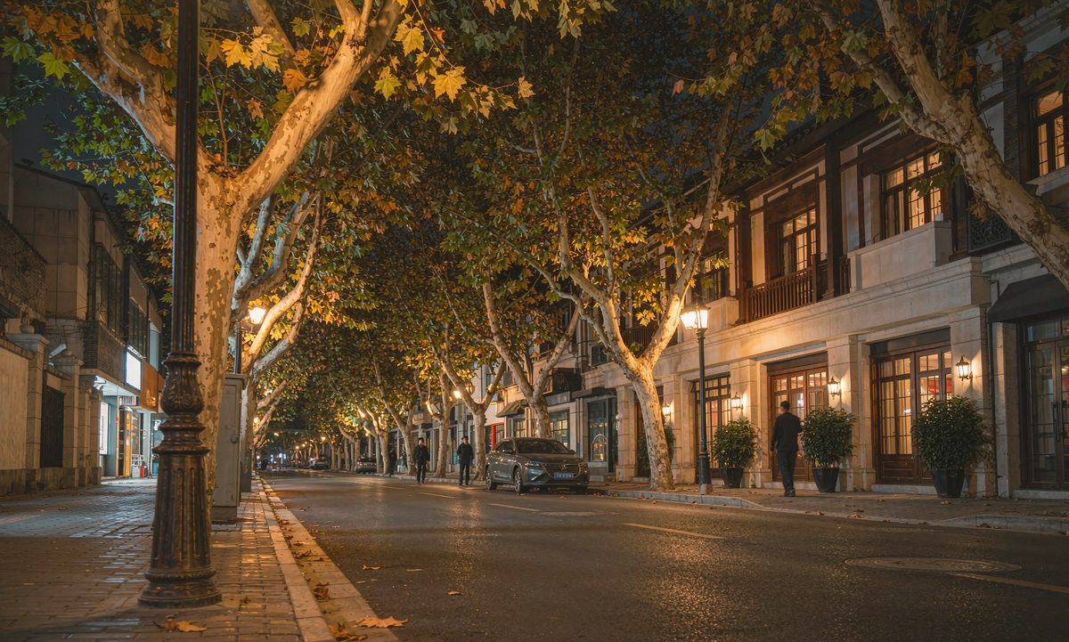一环内酒店街区夜景